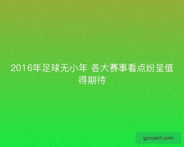 2016年足球无小年 各大赛事看点纷呈值得期待